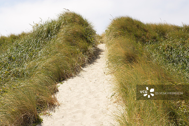 海滩草地沙丘系列图片素材