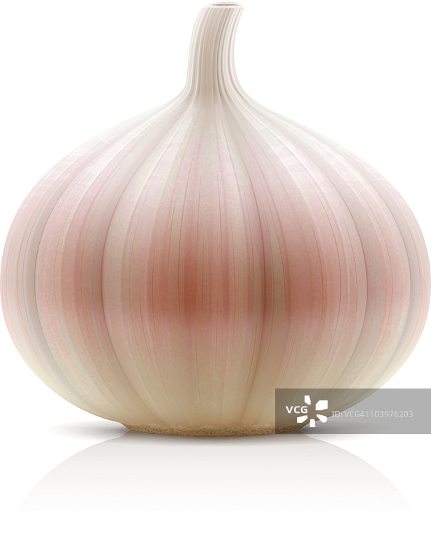 大蒜图片素材
