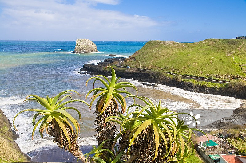 葡萄牙马德拉岛克鲁斯港：大西洋风光图片素材