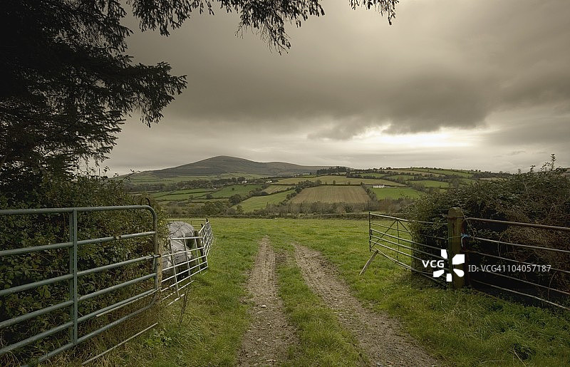 穿过大门的道路图片素材