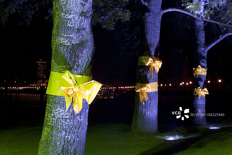 德国杜塞尔多夫的树上系着的黄丝带图片素材