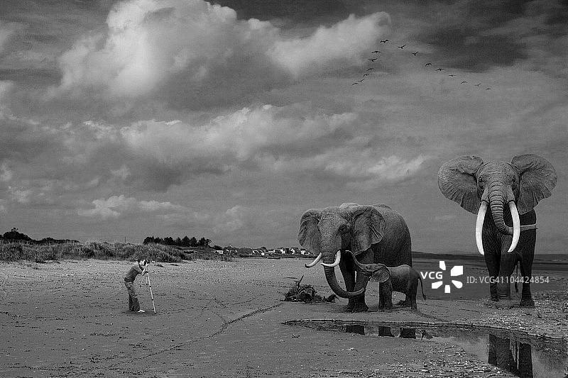 男人在爱尔兰共和国拍摄象群图片素材