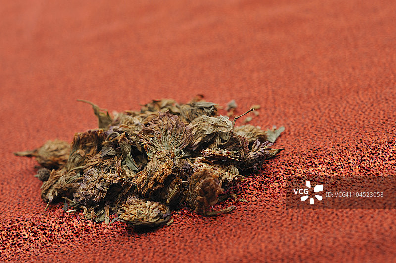 红色三叶草药草图片素材