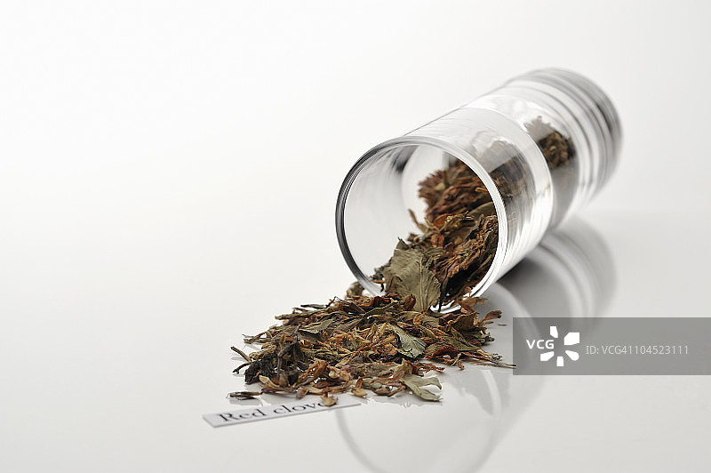 红色三叶草药草图片素材
