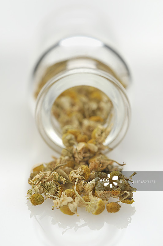 从玻璃瓶中倾泻而出的洋甘菊图片素材