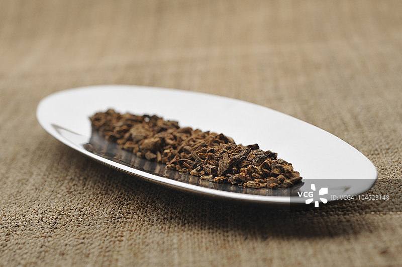蒲公英草本植物图片素材
