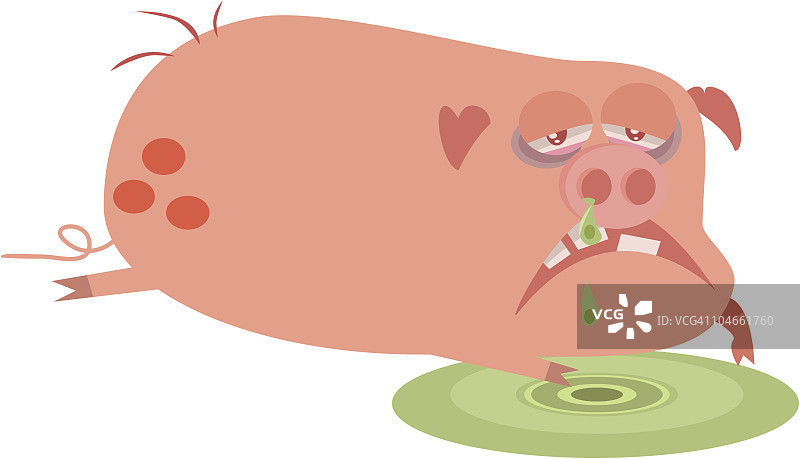 生病的猪图片素材