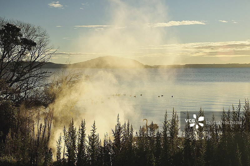新西兰北岛丰盛湾罗托鲁瓦湖图片素材
