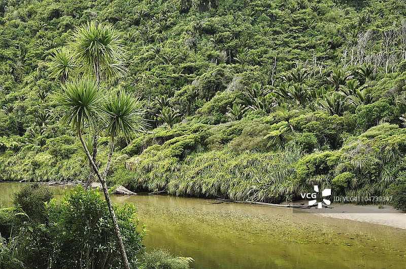新西兰南岛西海岸波罗拉里河风光图片素材