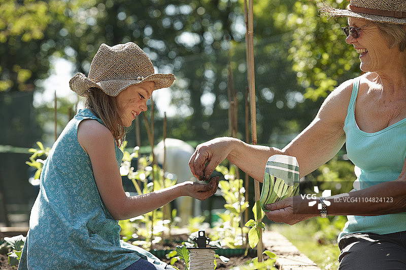 外婆把种子交给小女孩播种图片素材