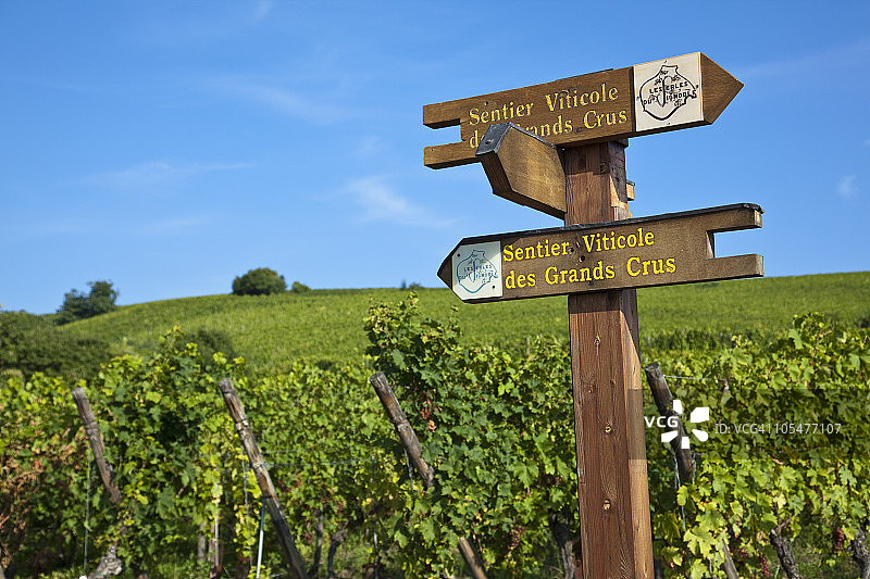 法国阿尔萨斯里克维尔图片素材