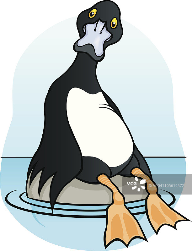 岩石上的鸭子图片素材