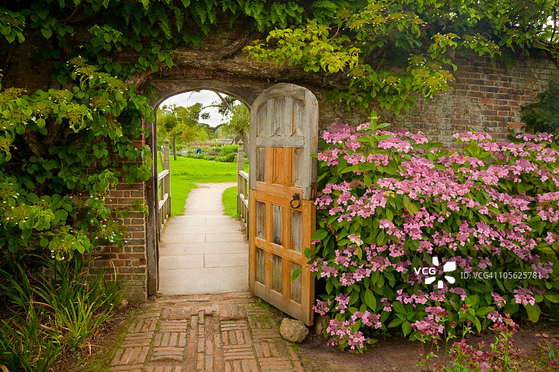 有绣球花的围墙花园图片素材