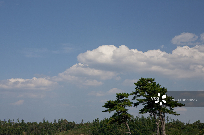 东寻坊悬崖图片素材