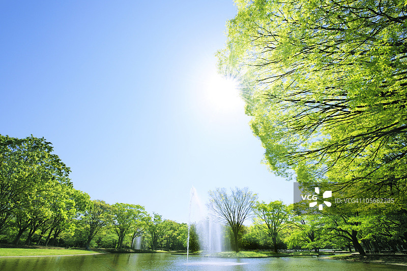 代代木公园的喷泉图片素材