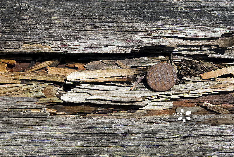 旧木头上的锈钉图片素材