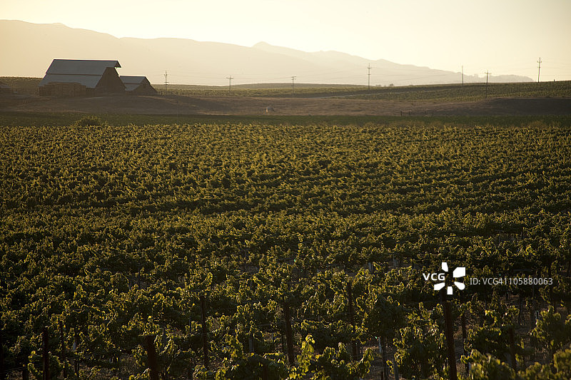 加利福尼亚葡萄酒产区风光图片素材