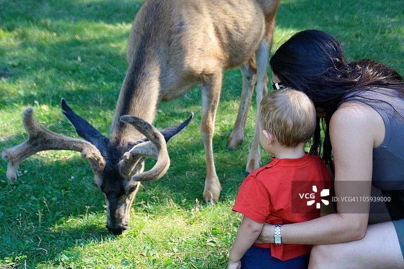 母子与鹿图片素材