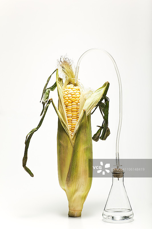 玉米和生物燃料图片素材