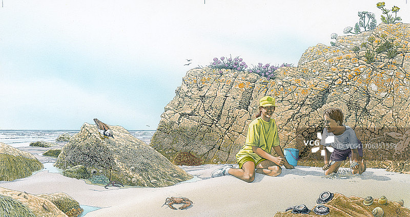 儿童在岩石海岸海滩上玩耍插画图片素材