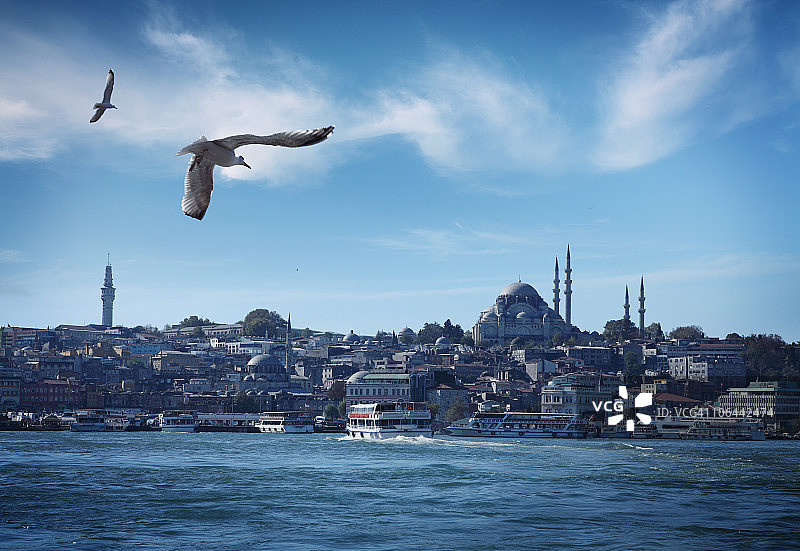 伊斯坦布尔和博斯普鲁斯海峡全景图片素材