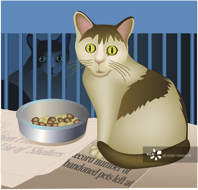 动物收容所里的猫图片素材