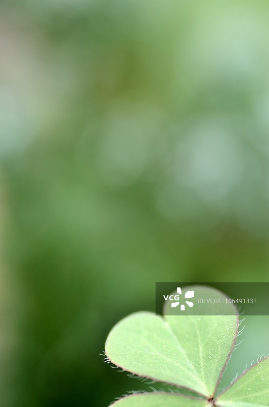 你能感受到我的心吗？图片素材