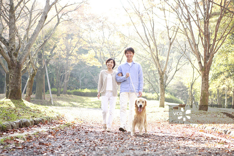 年轻夫妇在公园遛狗图片素材