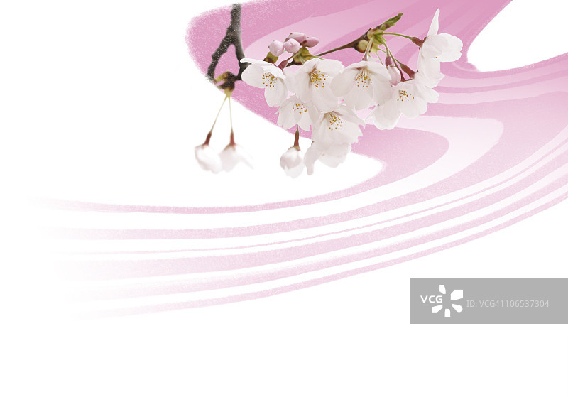 樱花与插画数字合成图片素材