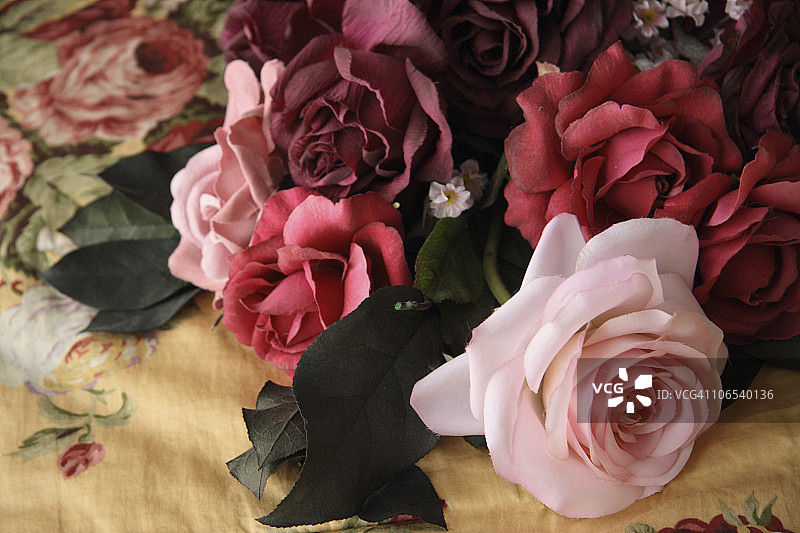 假玫瑰图片素材