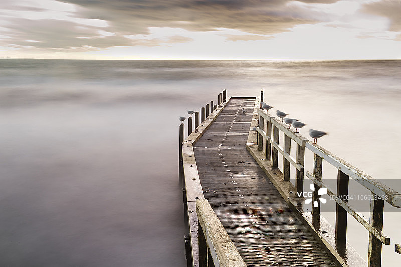 澳大利亚弗兰克斯顿船坡码头上的海鸥图片素材