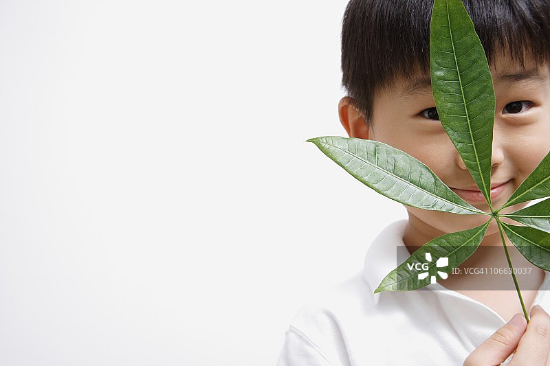 男孩拿着树叶的肖像图片素材