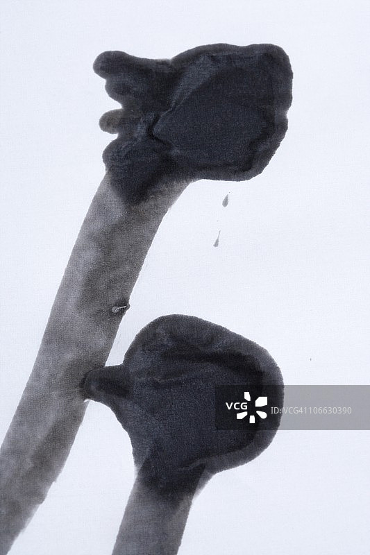 水墨画特写图片素材