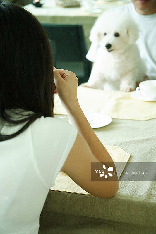 青少年女孩与狗的后视图图片素材