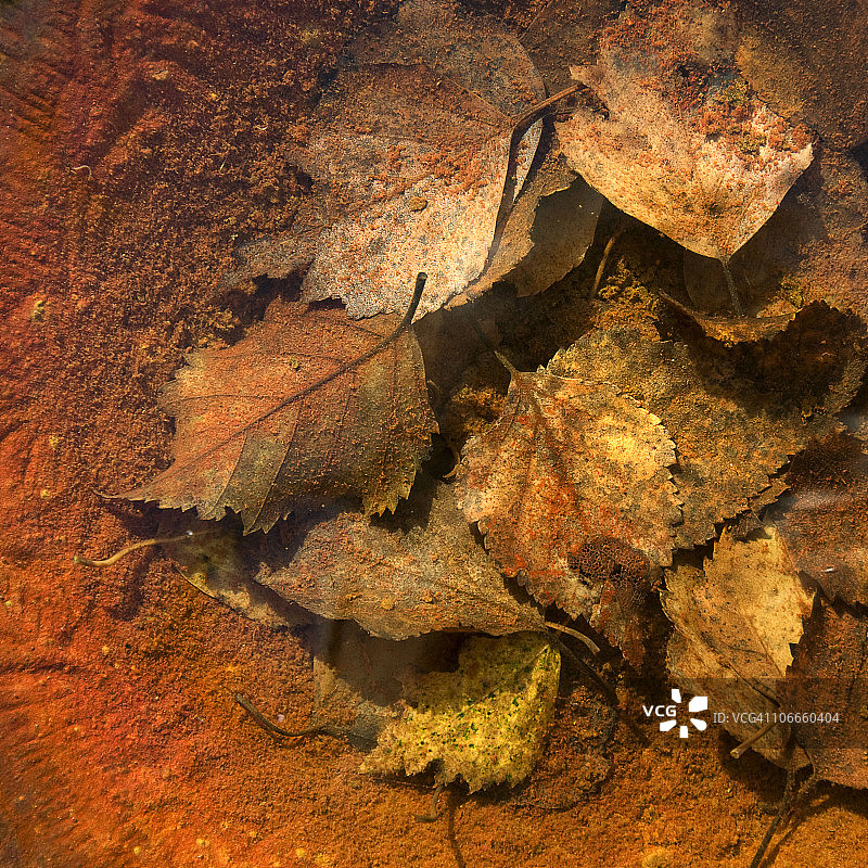 法式rouille酱图片素材