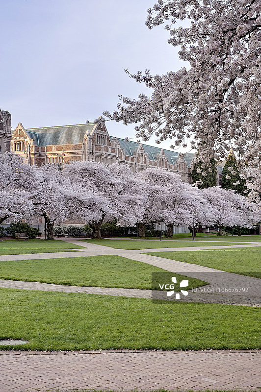 西雅图华盛顿大学图片素材