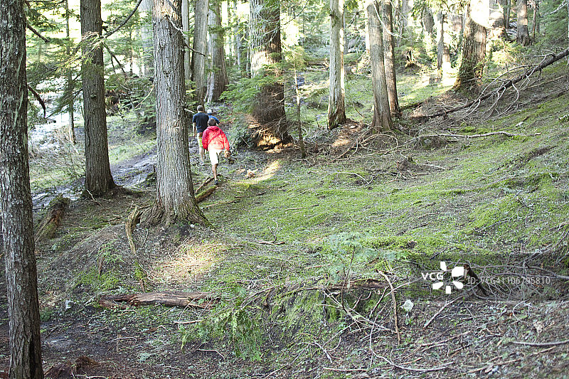 三名年轻男人在森林中徒步旅行图片素材