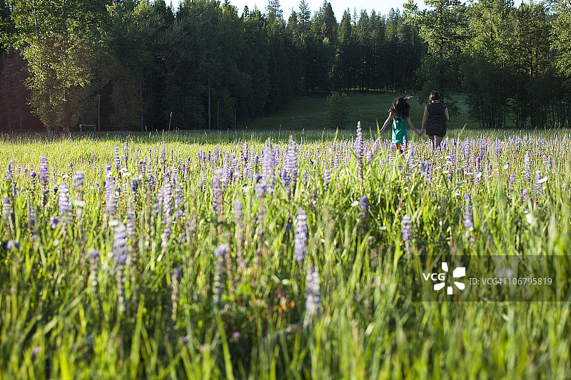 两位年轻女子在爱达荷州手牵手跑过野花田图片素材