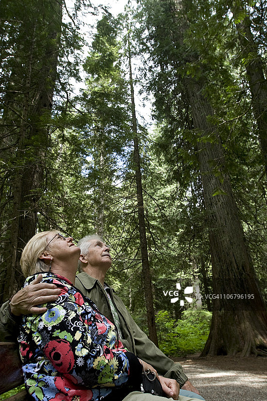 退休夫妇在蒙大拿州的巨树下休息图片素材