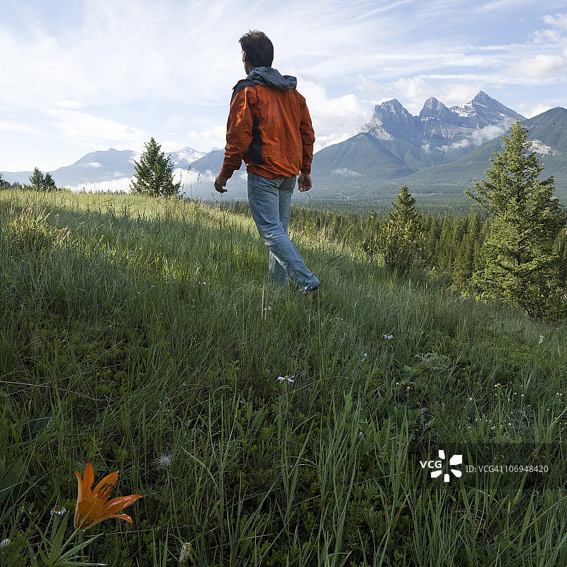 山地草甸风光图片素材