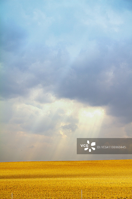 金色上的蓝色图片素材