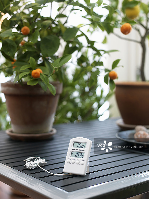 桌子上放着盆栽的数字温度计图片素材