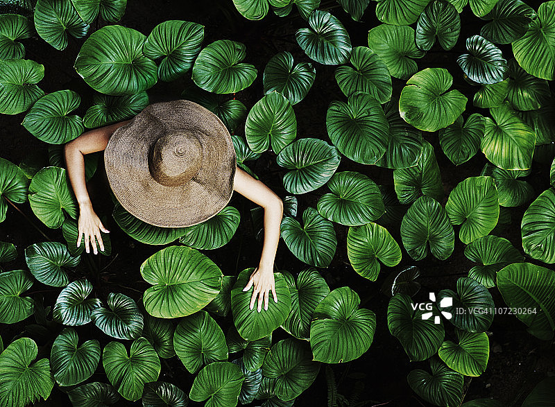 泰国女人与热带树叶图片素材
