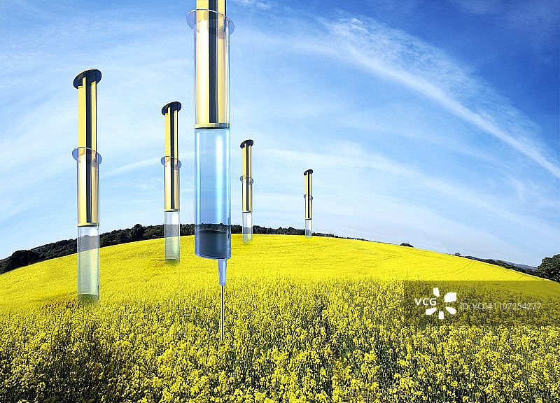 转基因油菜籽作物概念图图片素材