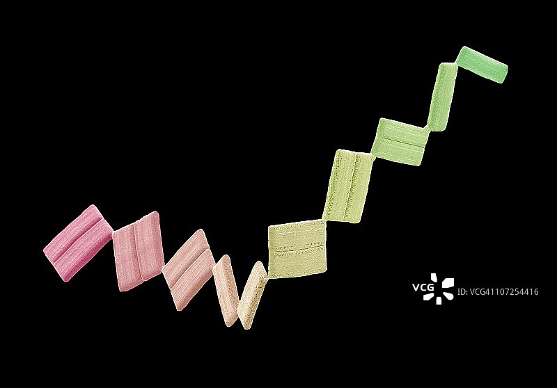 海洋菱形藻，扫描电镜图图片素材