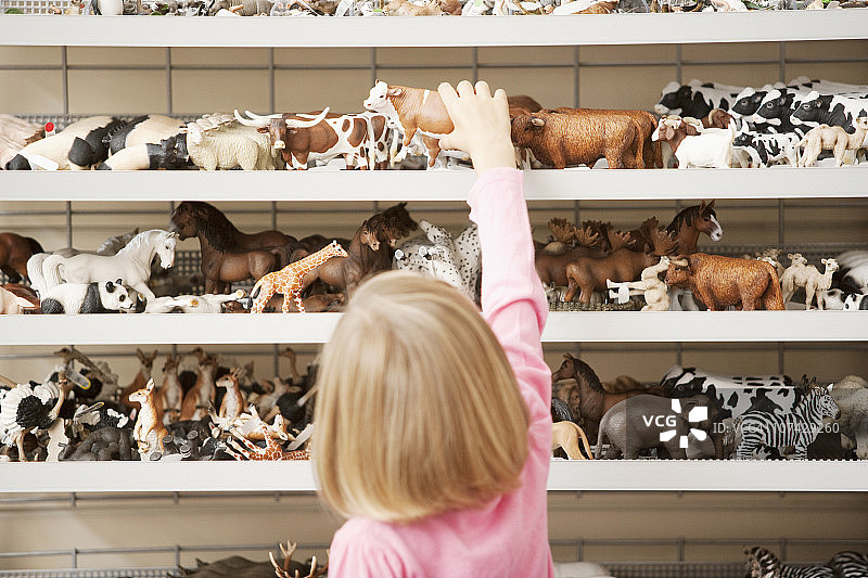 女孩在玩具店伸手去拿塑料牛图片素材