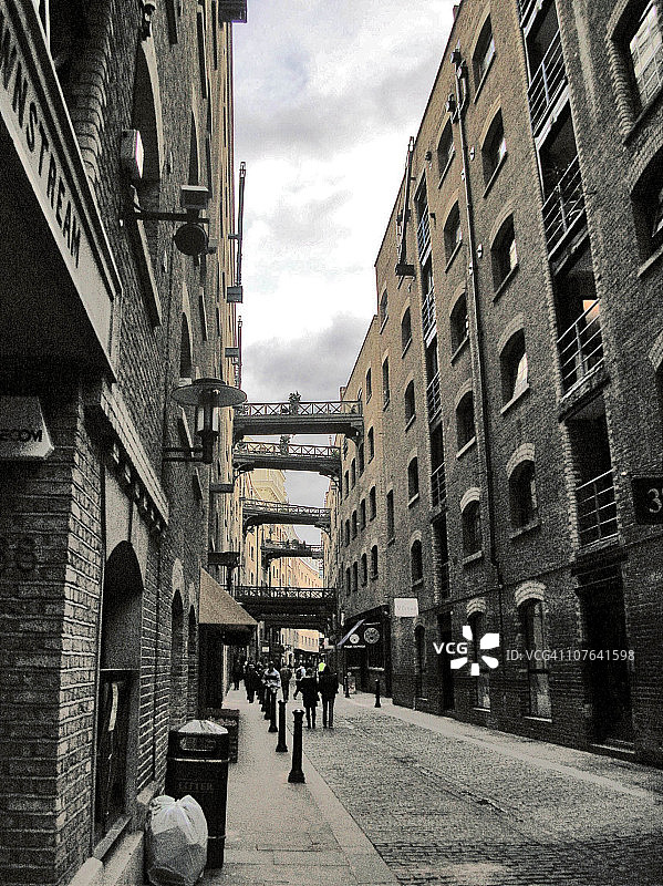 泰晤士河的西鲱图片素材