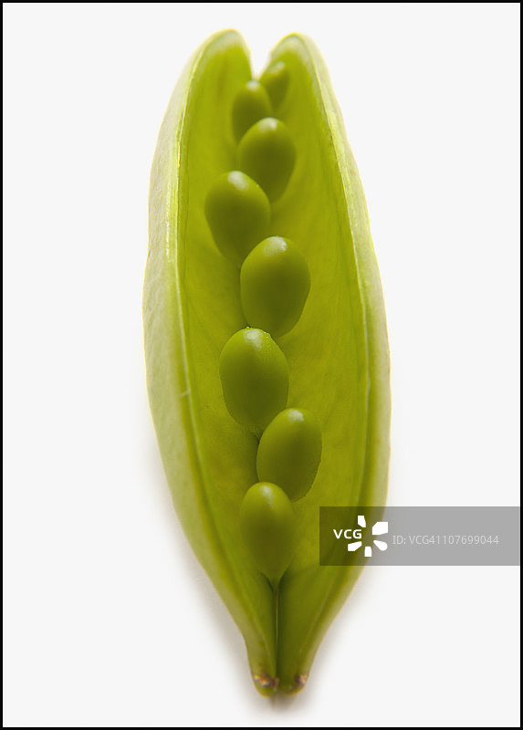 豆荚里的豌豆图片素材