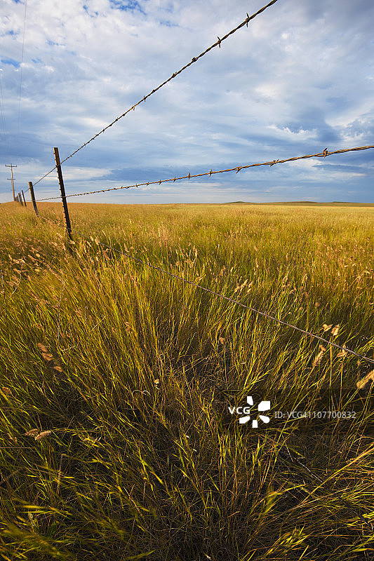 美国南达科他州布法罗盖普国家草原：草原上的栅栏图片素材