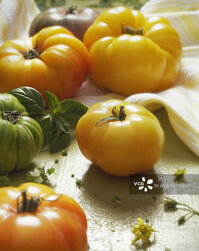 祖传番茄图片素材